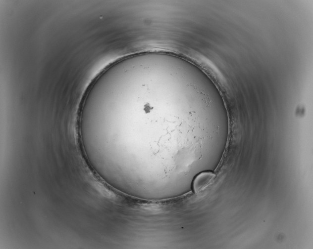 X0000102041182200808011503