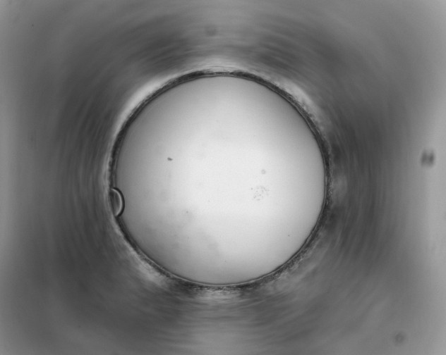 X0000102041183200808011503