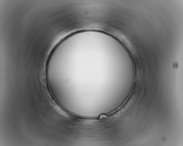 X0000102041184200808011503