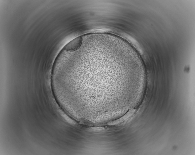 X0000102041186200808011503