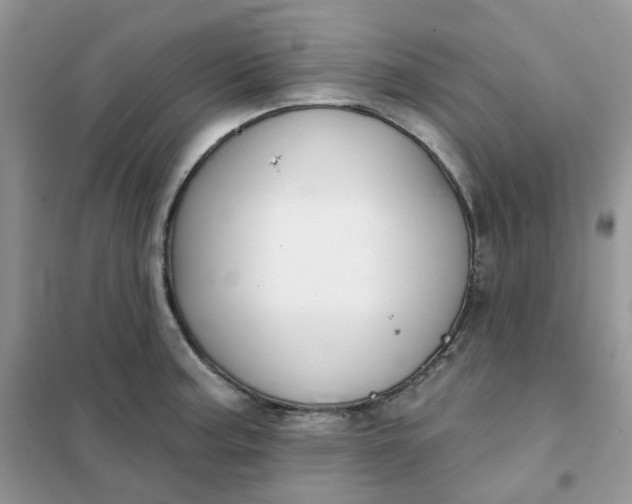 X0000102041187200808011503