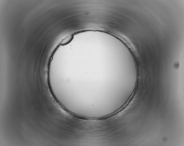 X0000102041188200808011503