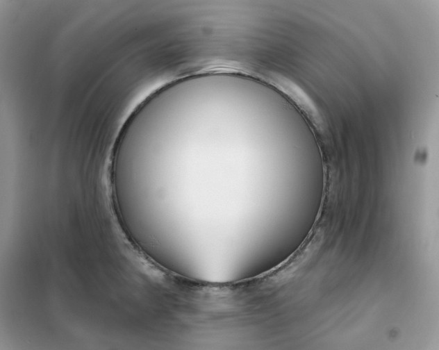 X0000102041190200808011503