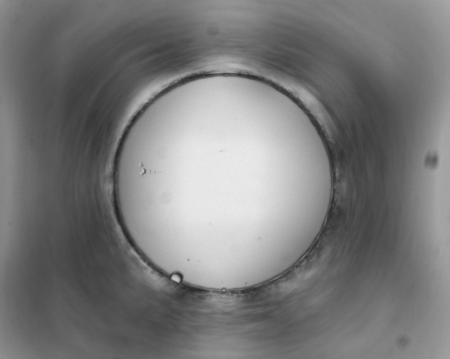 X0000102041191200808011503