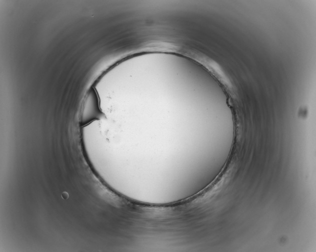 X0000102041192200808011503