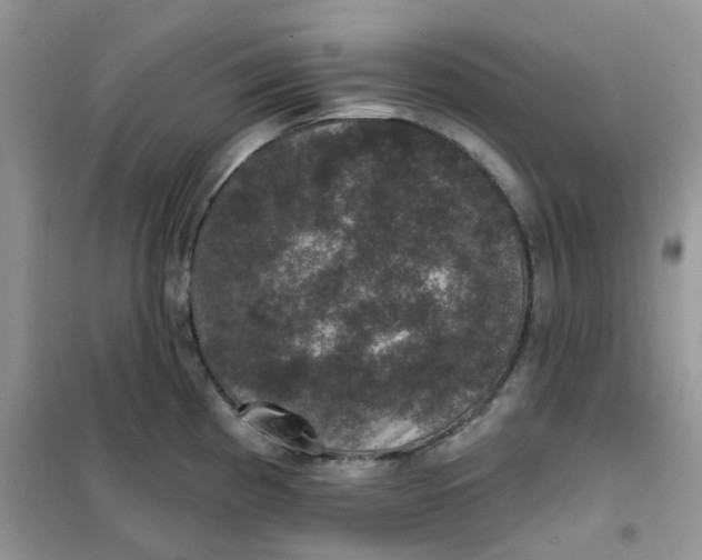 X0000102041193200808011503