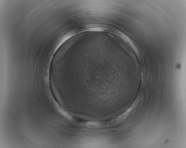 X0000102041194200808011503