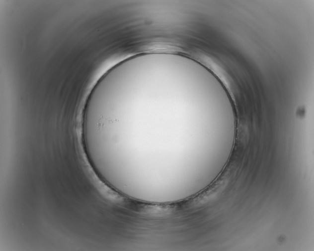 X0000102041195200808011503