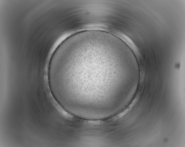 X0000102041196200808011503