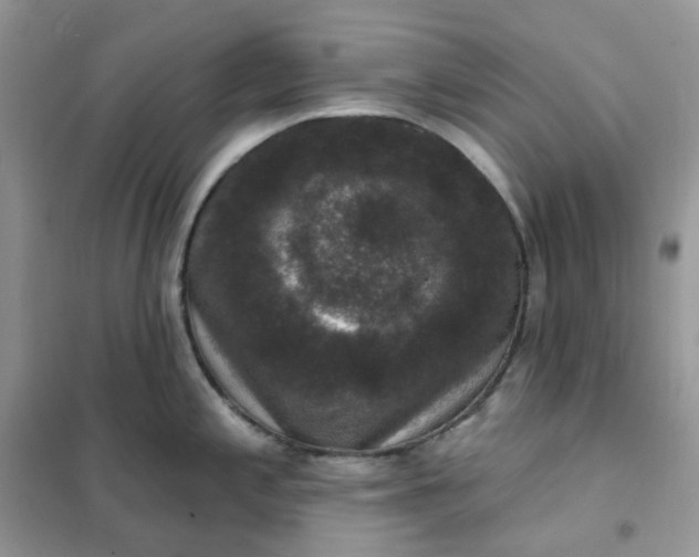 X0000102041197200808011503