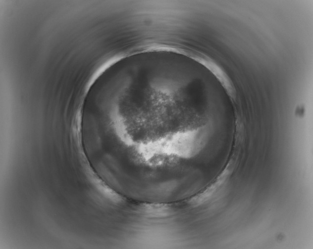 X0000102041198200808011503