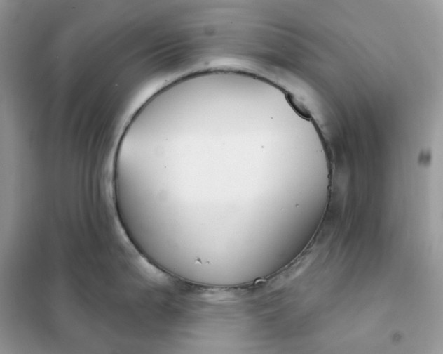 X0000102041199200808011503