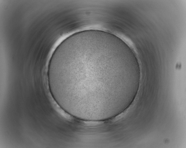 X0000102041200200808011503