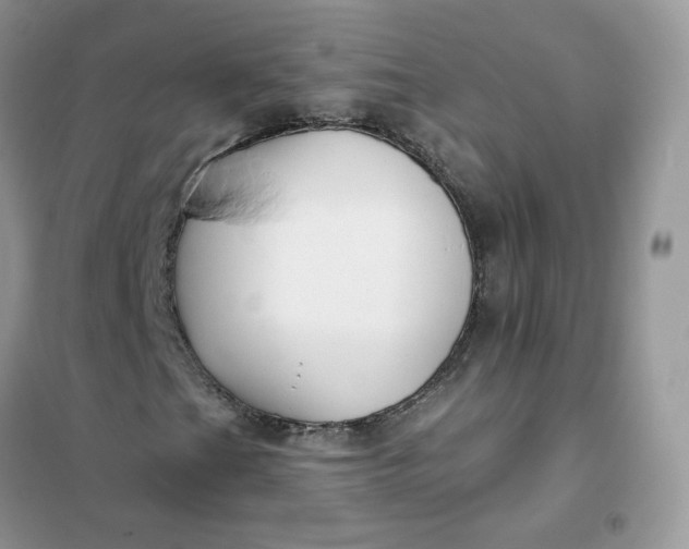 X0000102041201200808011502