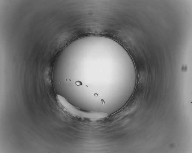 X0000102041202200808011502