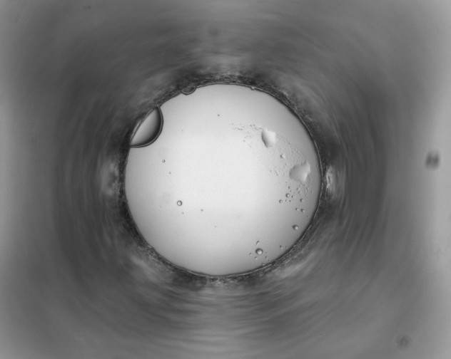 X0000102041203200808011502