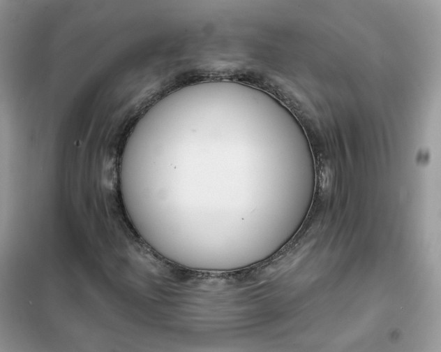 X0000102041204200808011502