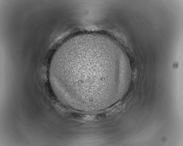 X0000102041205200808011502