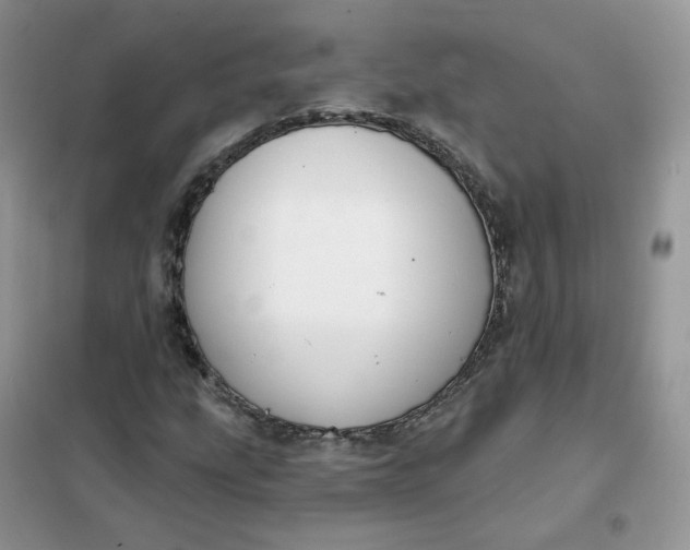 X0000102041207200808011502