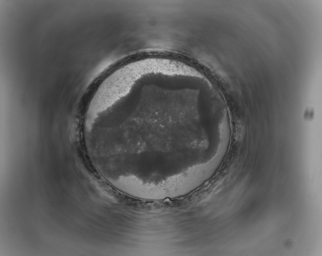 X0000102041208200808011502