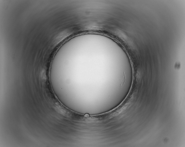 X0000102041209200808011502