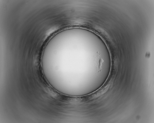 X0000102041210200808011502