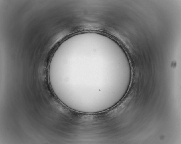 X0000102041211200808011502