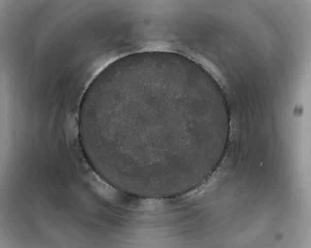 X0000102041212200808011502