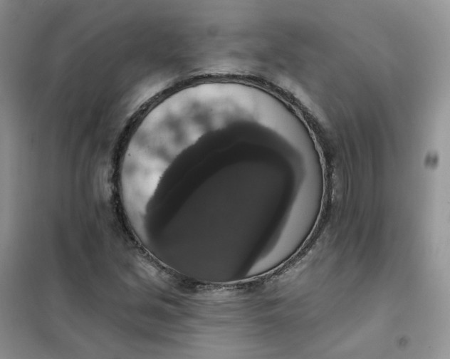 X0000102041213200808011503