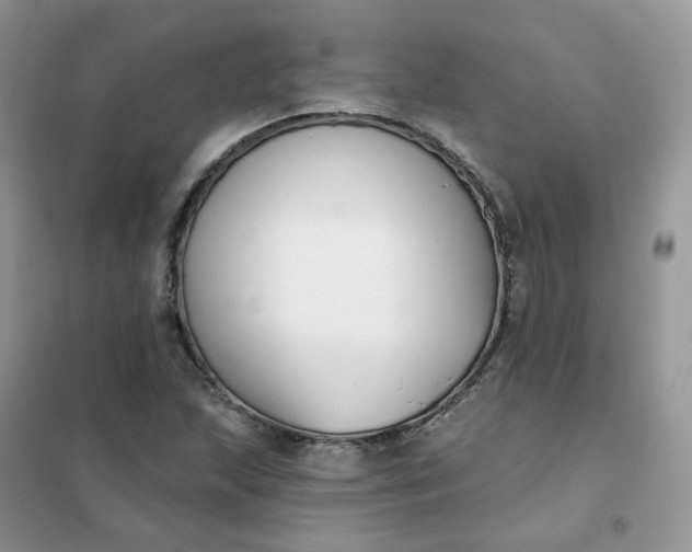 X0000102041215200808011503