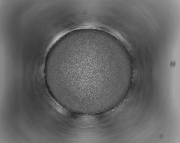 X0000102041216200808011503