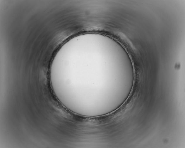 X0000102041217200808011503