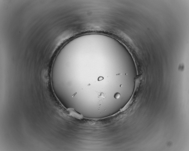 X0000102041218200808011503