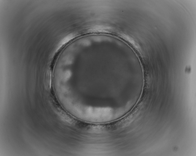 X0000102041219200808011503