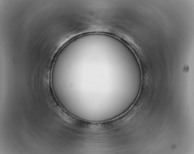 X0000102041220200808011503