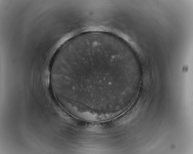 X0000102041221200808011503