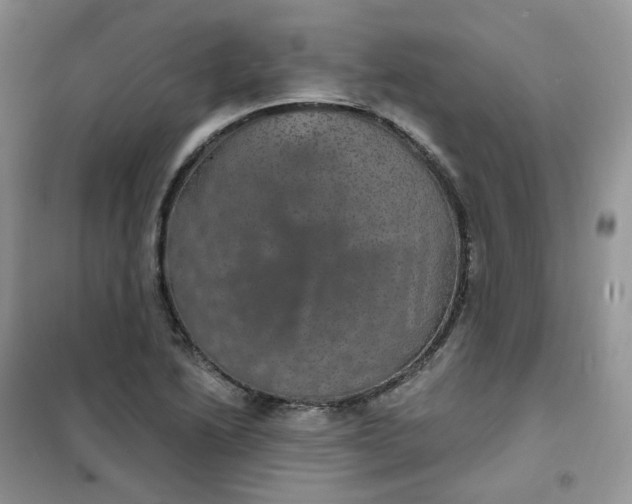 X0000102041222200808011503