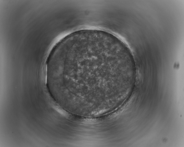 X0000102041223200808011503