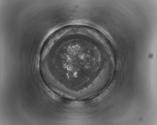 X0000102041224200808011503