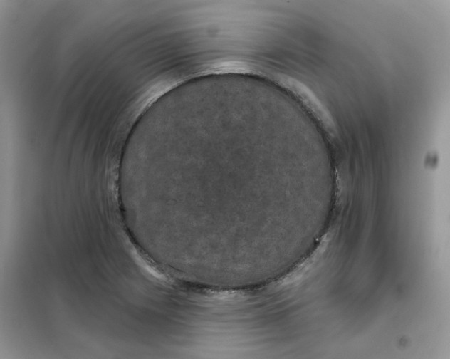 X0000102041225200808011503