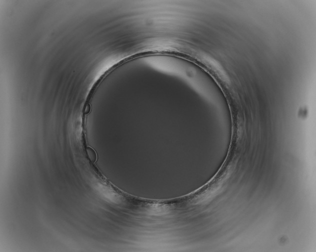 X0000102041226200808011503