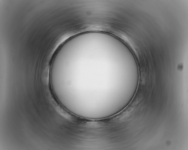 X0000102041227200808011503