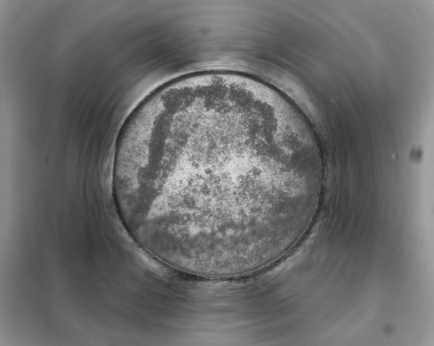 X0000102041228200808011503