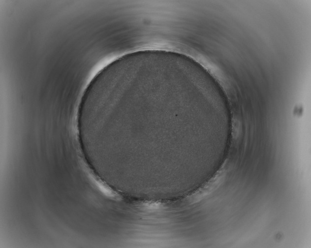 X0000102041230200808011503