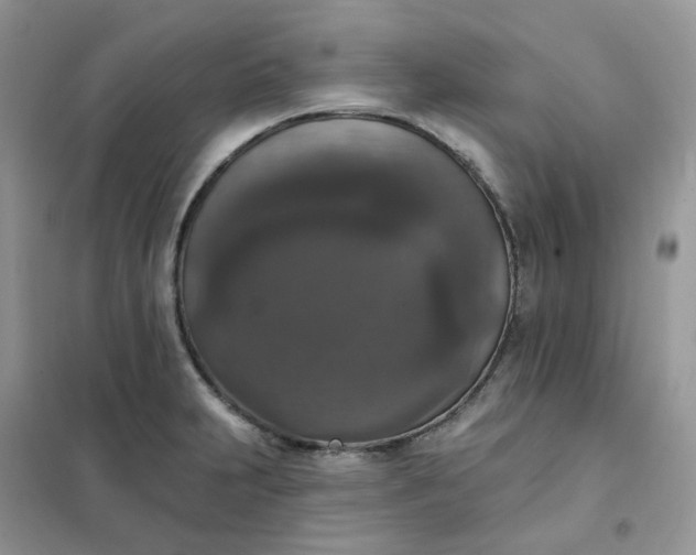 X0000102041231200808011503