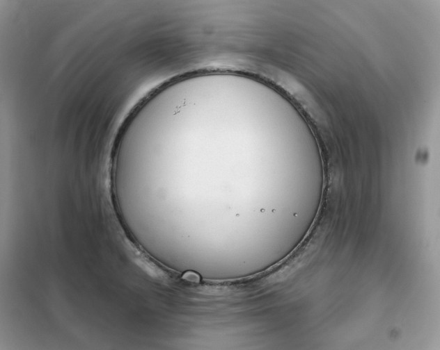 X0000102041232200808011503