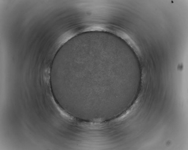 X0000102041233200808011503