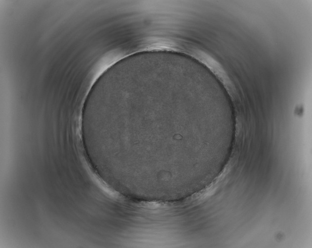 X0000102041234200808011503