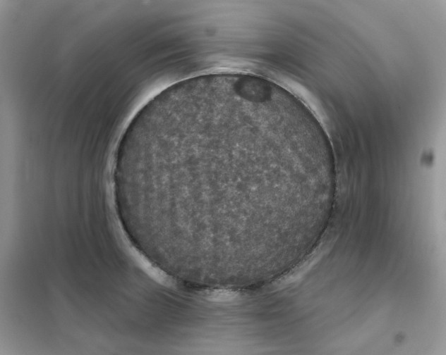 X0000102041235200808011503