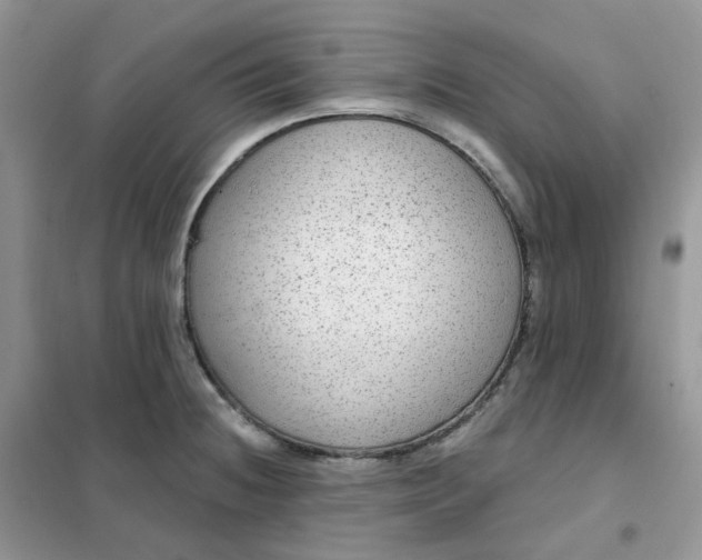 X0000102041236200808011503